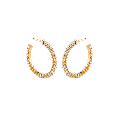Hoop Spiral Earrings